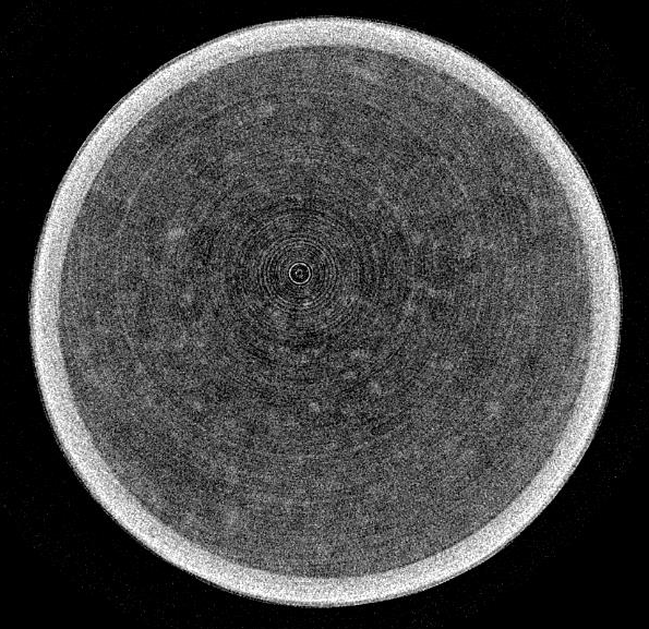 This photo explains ring artifact.