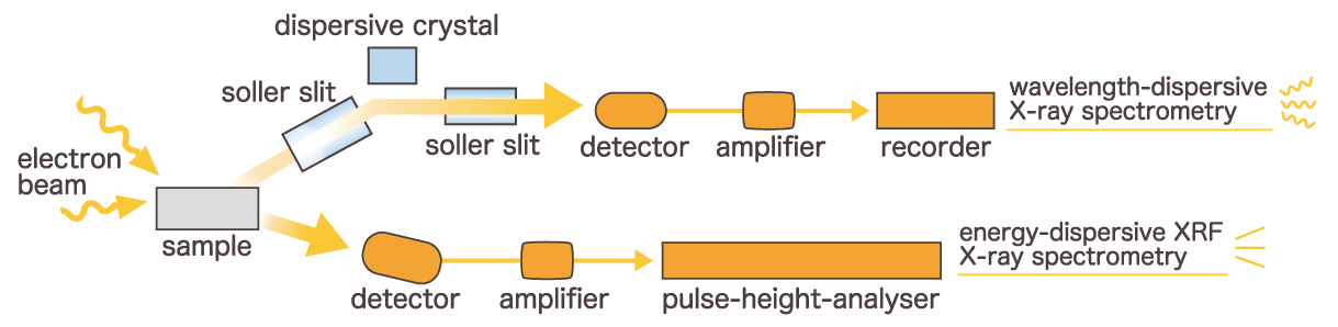 Wavelength Dispersive Type and Energy Dispersive Type