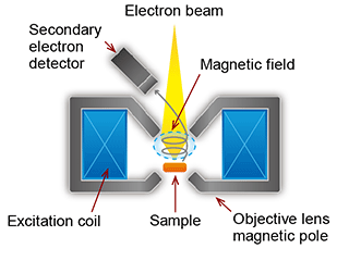 in-lens - Basic knowledge of scanning electron microscopy (SEM)