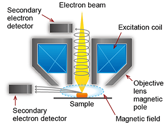 Semi-in-lens - Basic knowledge of scanning electron microscopy (SEM)