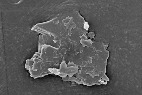 Low Accelerating Voltage - Basic knowledge of scanning electron microscopy (SEM)