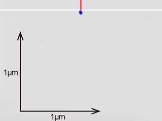 Primary electron penetration depths calculated by Monte Carlo simulation at irradiation voltages of 1 kV
