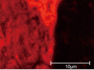 Element: Oxygen - Basic knowledge of scanning electron microscopy (SEM)