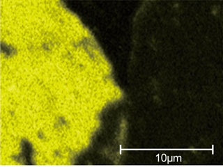 Element: Calcium - Basic knowledge of scanning electron microscopy (SEM)