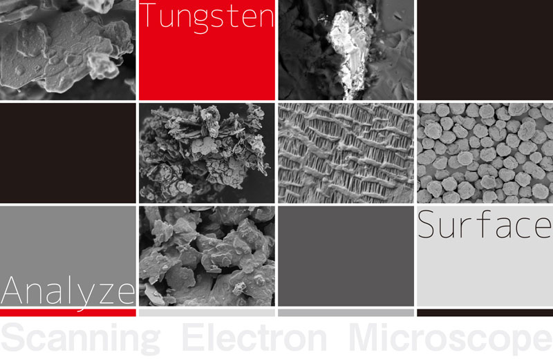 Basic knowledge of Scanning Electron Microscopy (SEM)
